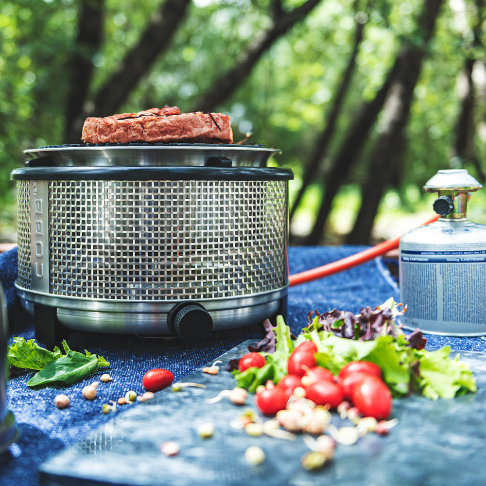 COBB portable gas cooker in the park with gas canister, and fresh ingredients on a blue mat.